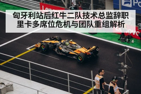 匈牙利站后红牛二队技术总监辞职里卡多席位危机与团队重组解析